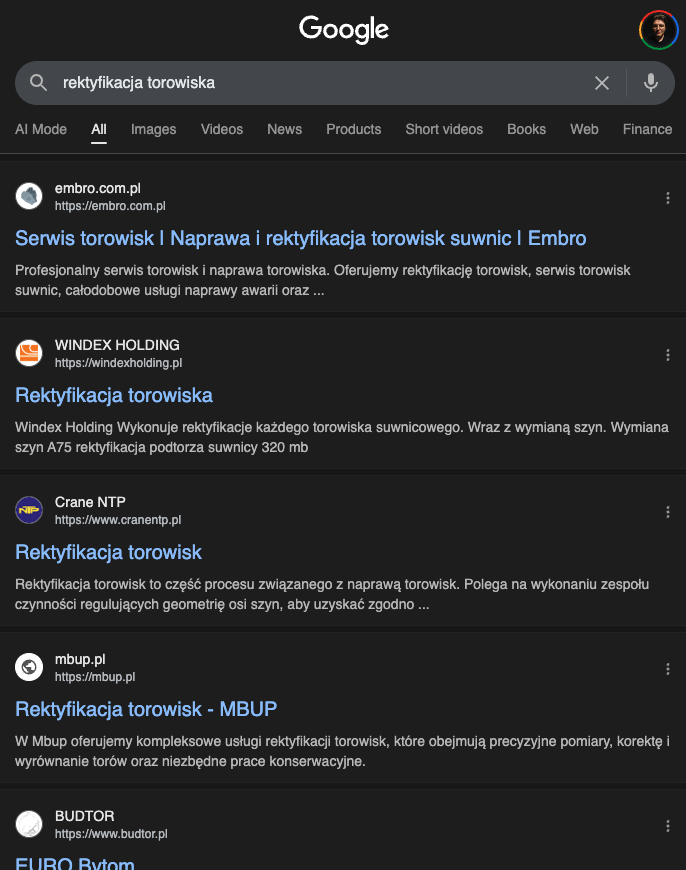 Podgląd strony Embro