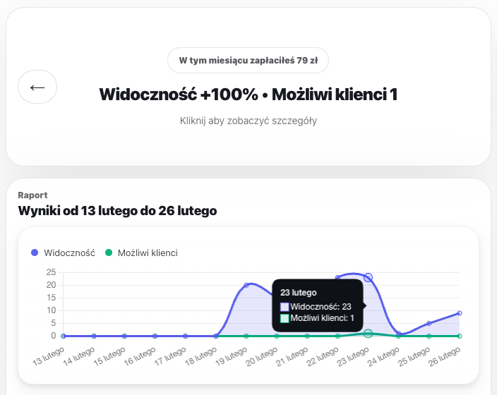 Podgląd analityczny